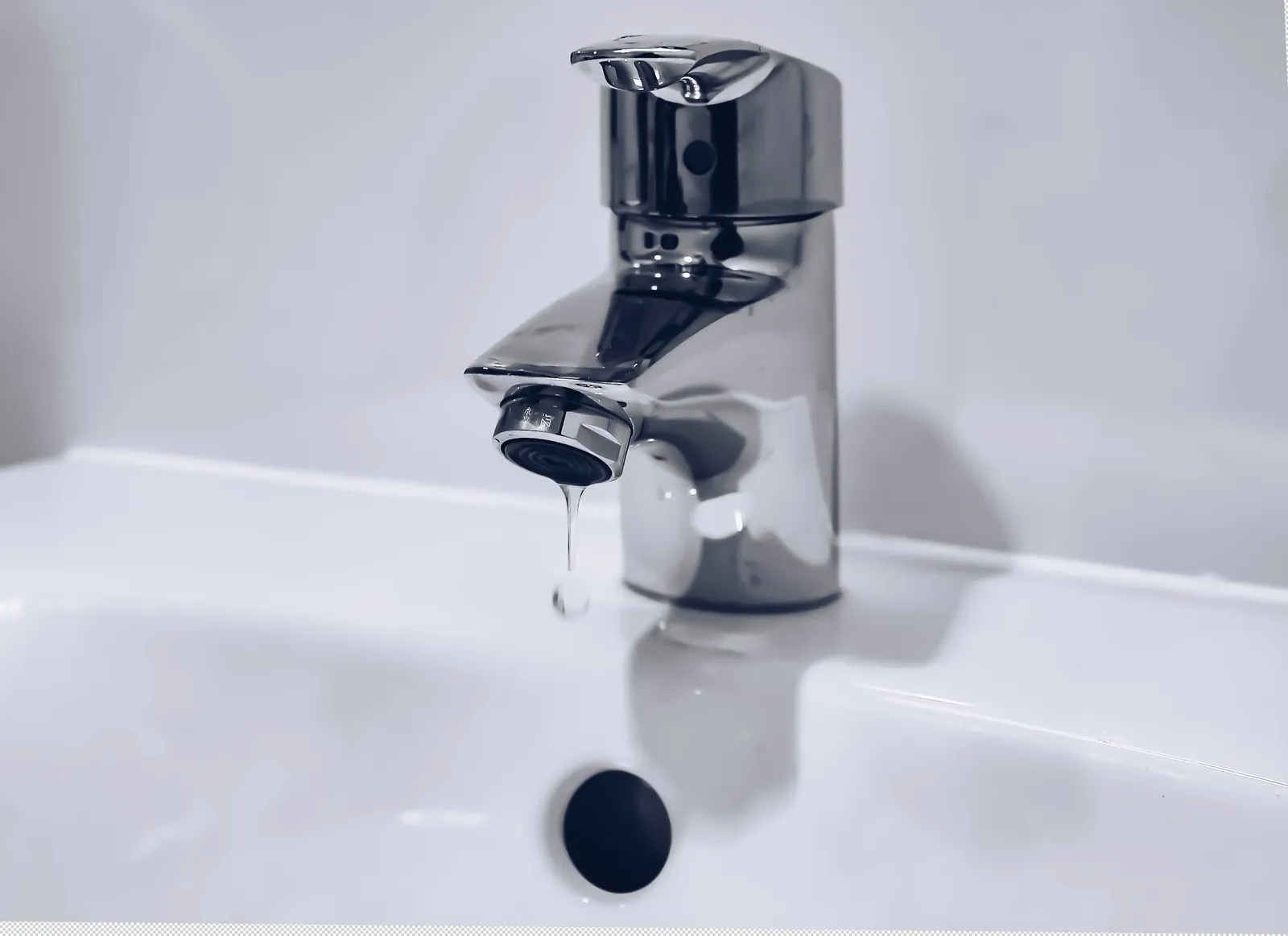 9 Simple Home Changes That Can Make a Big Difference for the Planet