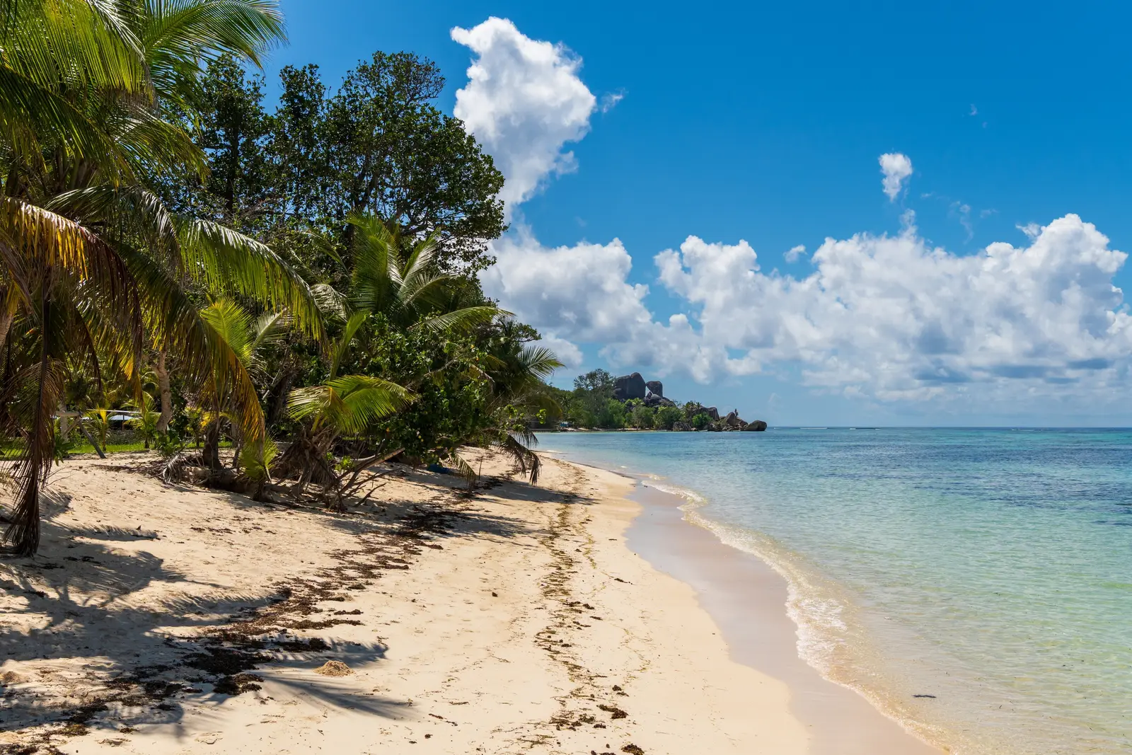 8 Island Nations Most at Risk of Disappearing This Century
