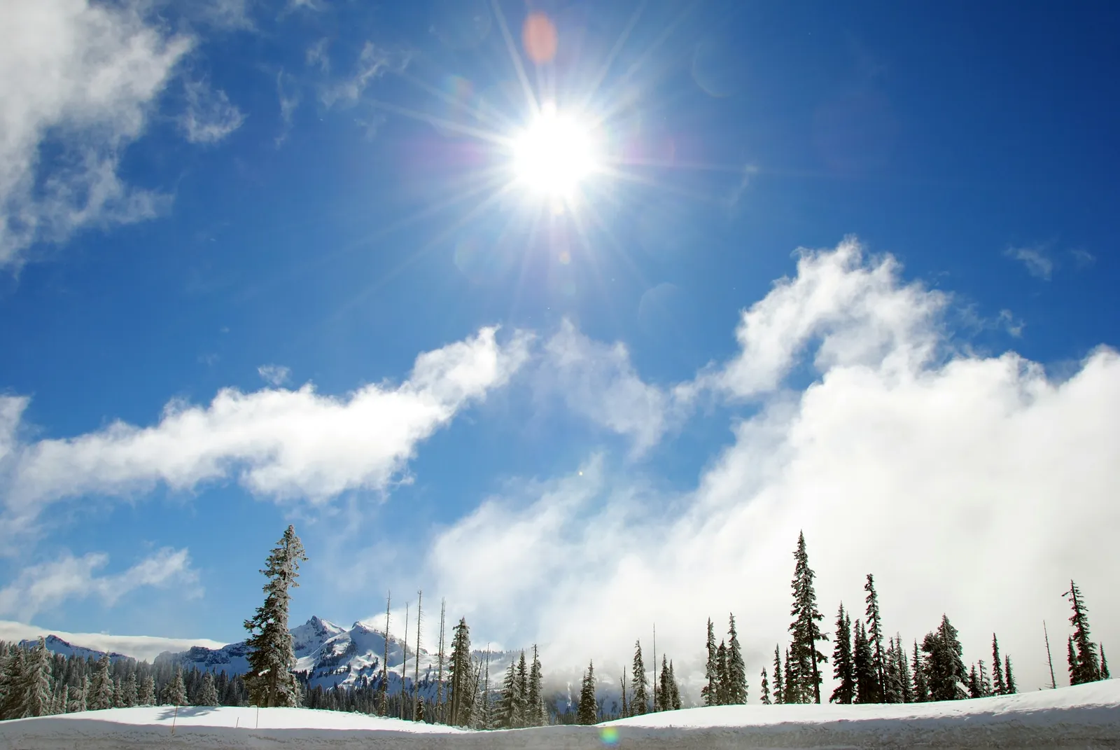 10 Reasons This Winter Isn't Shaping Up Like Meteorologists Predicted